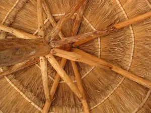 palapa