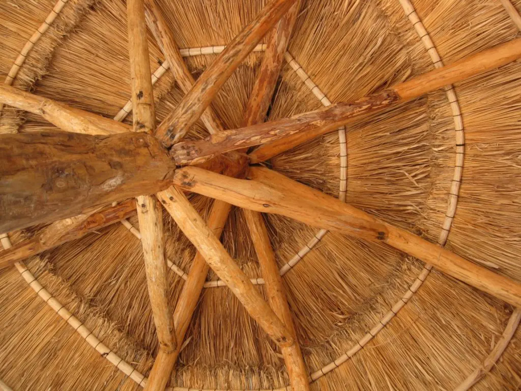 the palapa