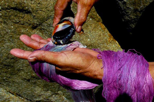 The Ancient Art of Purple